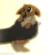 Image Credit - Serendipity-Kitty